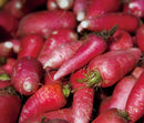 Radish Red