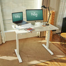 RAY OAK ELECTRIC STANDING DESK