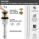 Grifo de baño PARLOS de 2 manijas, dorado cepillado con desagüe emergente y líneas de suministro, Demeter, 1.5GPM