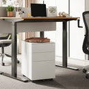 Metal 3 Drawer Mobile File Cabinet with Lock  DEVAISE