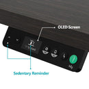 [ NEW ] ROBIN PRO BLACK OAK ELECTRIC STANDING DESK