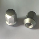 Accepting non-standard customization