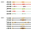 Brillenketten und -riemen CB001-028