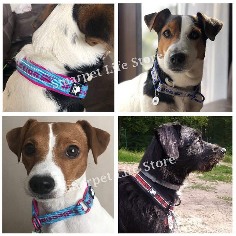 Truelove Hundehalsband mit weichem Schlupf, reflektierend, verstellbar, mit P-Kette, Choke-Halsband, Hundetraining für kleine, mittelgroße und große Hunde