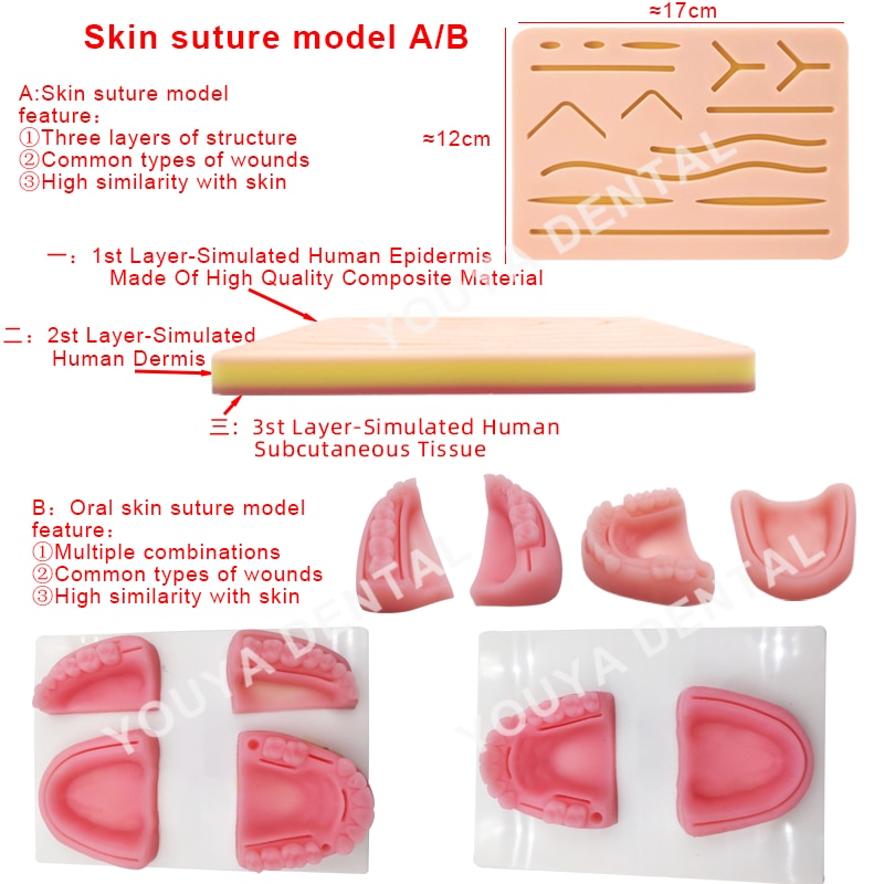 Dental Suture Kit Medical Skin Suture Surgical Training Kit Chirurgical Surgical Practice Set Oral Doctors Dental Teaching Model