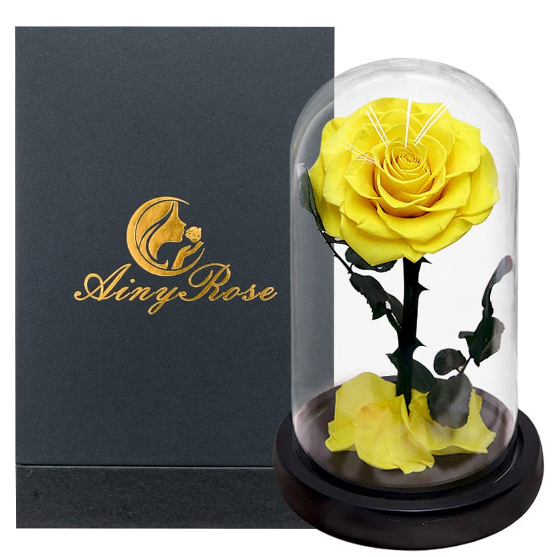 Eternal Preserved Roses In Glass Dome 5 Flower Heads Rose Forever Love Wedding Favor Mothers Day Gifts for Women Girlfriends