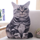 LREA 50cm 3D The simulation cat Cushion COVER Sofa /seat/bed/car /hotel Home Decoration Pillow case Covers
