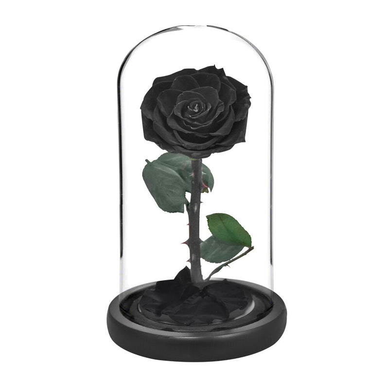 Eternal Preserved Roses In Glass Dome 5 Flower Heads Rose Forever Love Wedding Favor Mothers Day Gifts for Women Girlfriends