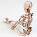 1 Uds acuario esqueleto humano resina pecera cráneo esqueleto resina ornamento reptil tanque pecera acuario Decoración