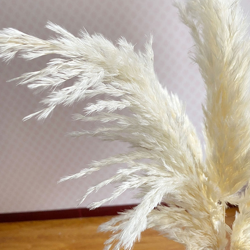 1 Bund weiße Blumen natürliches getrocknetes Schilf Bündel Pampasgras DIY Handwerk Hochzeitsstrauß Weihnachten Heimdekoration Lieferungen