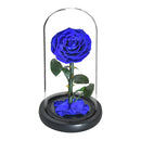 Eternal Preserved Roses In Glass Dome 5 Flower Heads Rose Forever Love Wedding Favor Mothers Day Gifts for Women Girlfriends