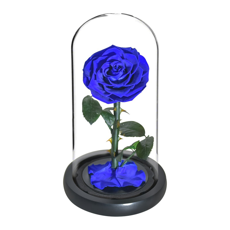 Eternal Preserved Roses In Glass Dome 5 Flower Heads Rose Forever Love Wedding Favor Mothers Day Gifts for Women Girlfriends