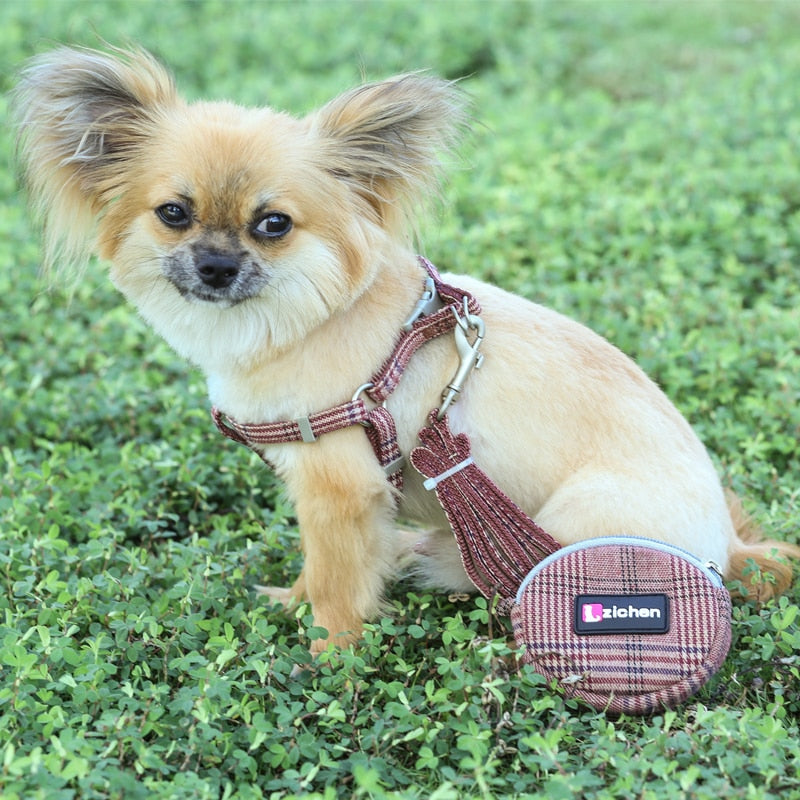 Juego de arnés y correa suave para perro, Collar ajustable de nailon para perro Chihuahua para perros pequeños y medianos, productos para mascotas que caminan