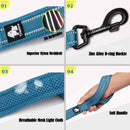 Truelove Soft mesh Nylon Dog Leash Double Trickness Running Reflective safe Walking Training Pet Dog Lead leash Stock 200cm hot