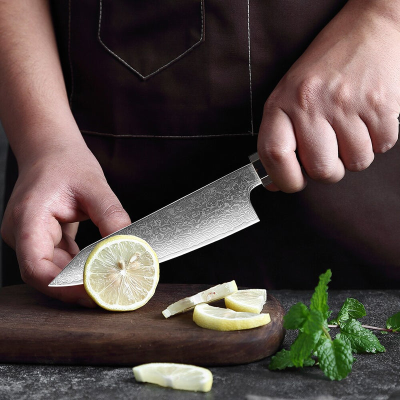 XITUO Schälmesser Obstmesser Damaststahl Gemüseschälmesser Slicer Fleisch Fischmesser Japanisches Messer achteckiger Griff Kochen