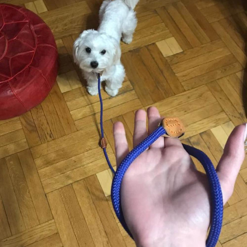 Multifunktions-Doppelleine P-Kettenhalsband Zwei Hundeleinen Nylon Verstellbare lange Hundetrainingsleinen Gebundenes Hundeseil Heimtierbedarf