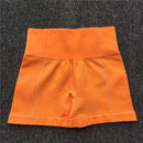 Yoga Set Women Sleeveless Sport Suit Workout Gym Clothes Fitness Sports Bra High Waist Shorts 2 Piece Utra Seamless Sportswear