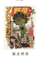 Japanese Style decorative door curtain fabric cloth home screens partition bathroom sushi kitchen restaurant curtains