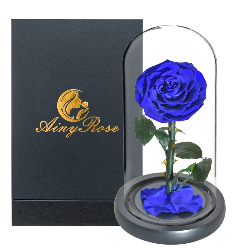 Eternal Preserved Roses In Glass Dome 5 Flower Heads Rose Forever Love Wedding Favor Mothers Day Gifts for Women Girlfriends