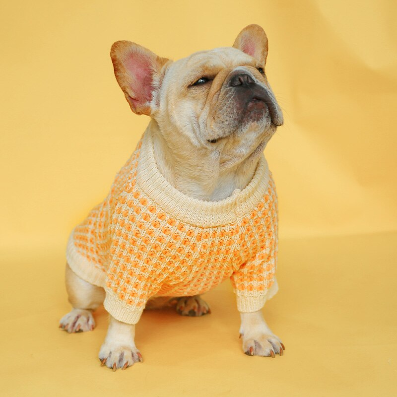 PETCIRCLE Neue Hunde-Welpen-Kleidung, orangefarbener Wafer-Pullover, Haustier-Katzen-Passform für kleine Hunde, Frühling und Herbst, niedliches Kostüm, Hunde-Stoff-Pullover
