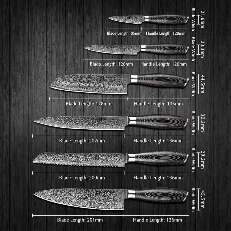 XINZUO 6-teiliges Küchenmesser-Set aus kohlenstoffreichem japanischem Stil, VG10-Damaskus-Stahl, Chef Santoku, Brot Allzweckmesser, Pakkawood-Griff