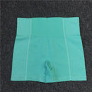 Yoga Set Women Sleeveless Sport Suit Workout Gym Clothes Fitness Sports Bra High Waist Shorts 2 Piece Utra Seamless Sportswear