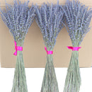 100g dried natural flower bouquets dried natural Lavender flower bouquet&amp;lavender flower Bunches