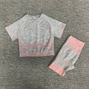 women yoga set gym clothing Female Sport fitness suit Running Clothes yoga top+   Leggings women Seamless gym yoga bra suits