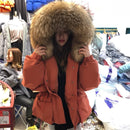 Janveny Huge Raccoon Fur Collar Hooded 2021 Short Female Winter Feather Down Coat Women 90% Duck Down Jacket Winter Puffer Parka
