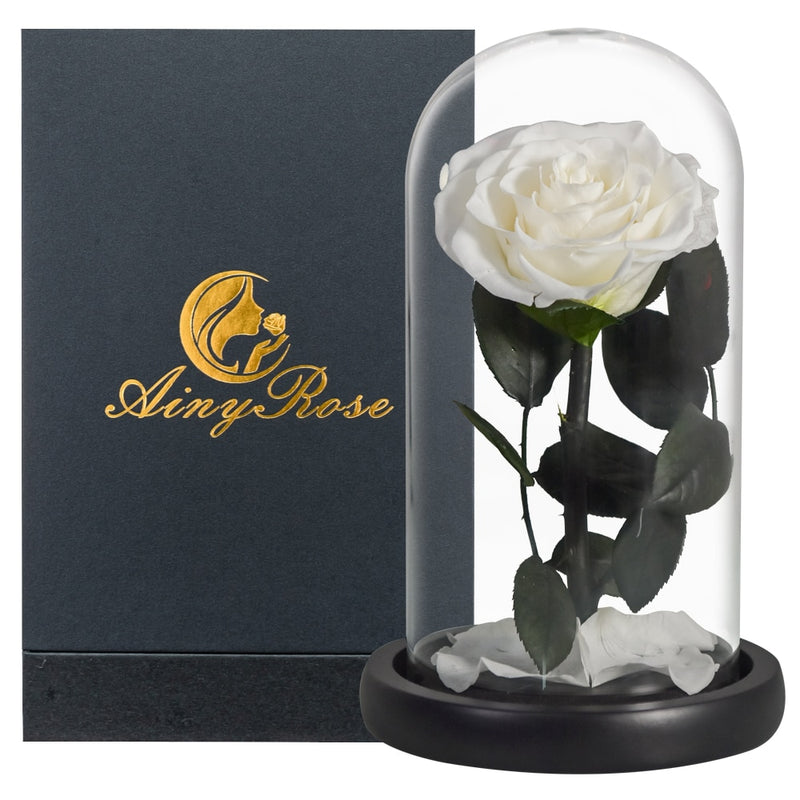 Eternal Preserved Roses In Glass Dome 5 Flower Heads Rose Forever Love Wedding Favor Mothers Day Gifts for Women Girlfriends