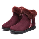 Winter Snow Ankle Boots For Women Casual Woman Shoe Suede Winter Boots Zipper Female Plush Furry Boots Platform Botas Mujer