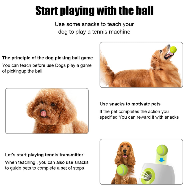 Hundeball Automatischer Tenniswerfer Haustierhunde jagen Spielzeug Mini-Tennis-Wurf-Flipper-Maschinen-Spaß interaktiv