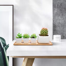 1pc Wooden Bamboo Tray Plant Flower Pot Saucer Rectangle Shape Succulent Cactus Holder Pot Tray Simple elegant Design Home Decor