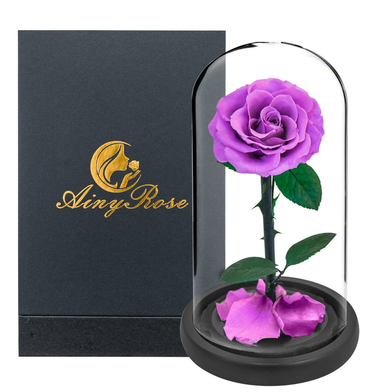 Eternal Preserved Roses In Glass Dome 5 Flower Heads Rose Forever Love Wedding Favor Mothers Day Gifts for Women Girlfriends