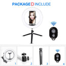 Desktop LED Ring Light Dimmable Phone Video Recording Round Fill Light for Youtube Tik Tok Video Photography Lighting RingLight