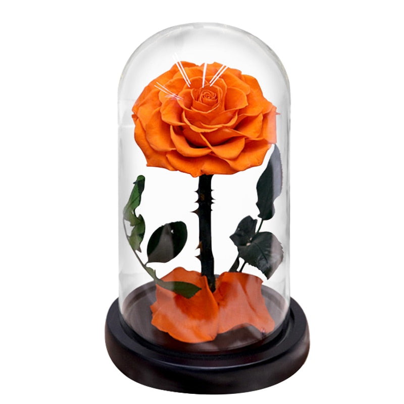 Eternal Preserved Roses In Glass Dome 5 Flower Heads Rose Forever Love Wedding Favor Mothers Day Gifts for Women Girlfriends