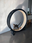 Cinta de correr para gatos, equipo de ejercicios para gatos, cinta de correr grande para gatos