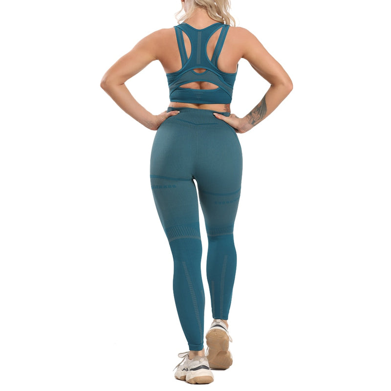 2 Piece Sports Sets workout yoga set Women&