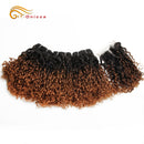 Brazilian Pixie Curls Human Hair Weave Bundles Hair Extensions Ombre Bundles With Closure 1B/30 Remy Hair Bundles With Closure