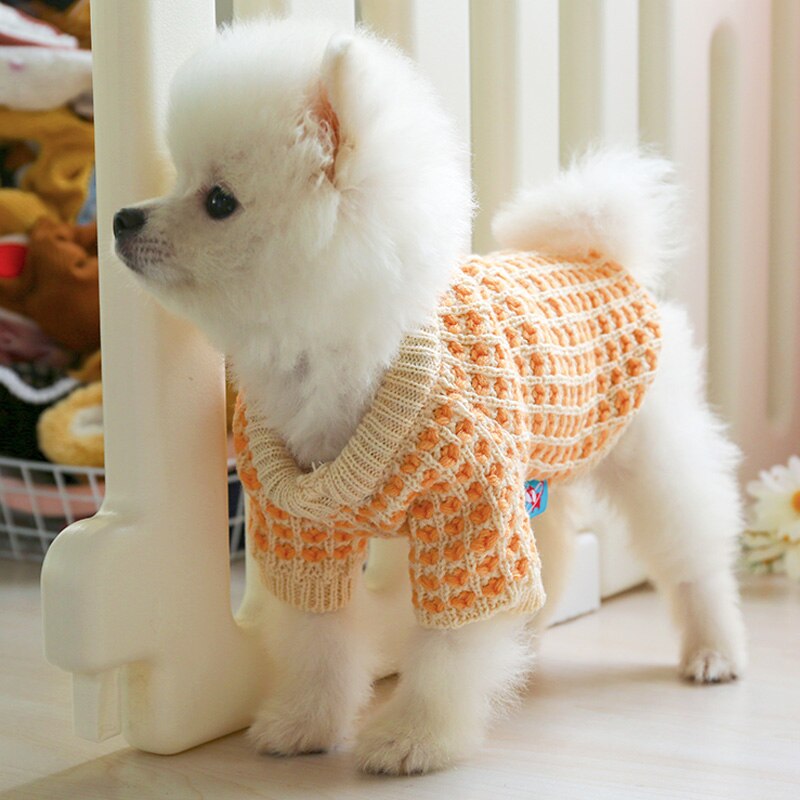 PETCIRCLE Neue Hunde-Welpen-Kleidung, orangefarbener Wafer-Pullover, Haustier-Katzen-Passform für kleine Hunde, Frühling und Herbst, niedliches Kostüm, Hunde-Stoff-Pullover