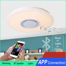 Nordic RGB Ceiling Light Ceiling Lamp Music with Bluetooth Speaker Dimmable Colors Changing Light Bedroom Living Room Light