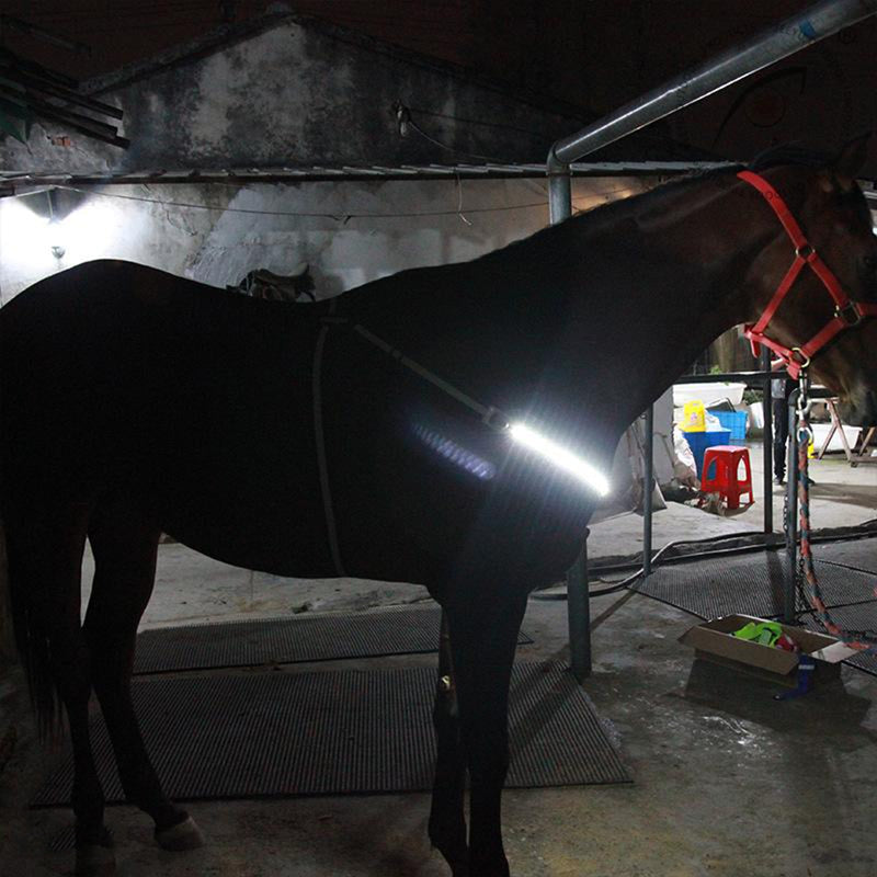 Hi Viz Horse LED Breastplate Collar Halter Head Harness Adjustable Reflective Equestrian Breastplate Collar Strap