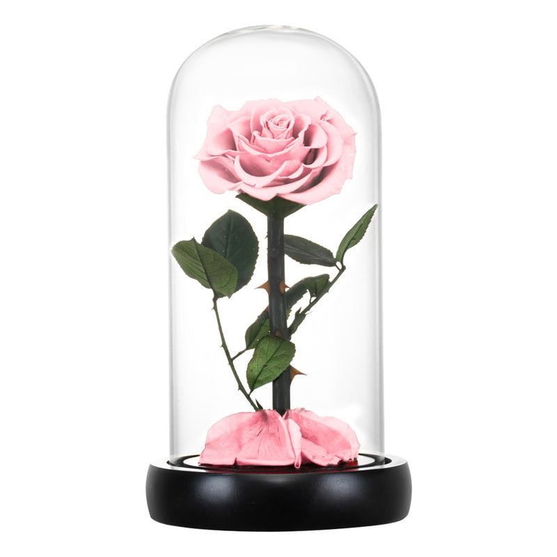 Eternal Preserved Roses In Glass Dome 5 Flower Heads Rose Forever Love Wedding Favor Mothers Day Gifts for Women Girlfriends