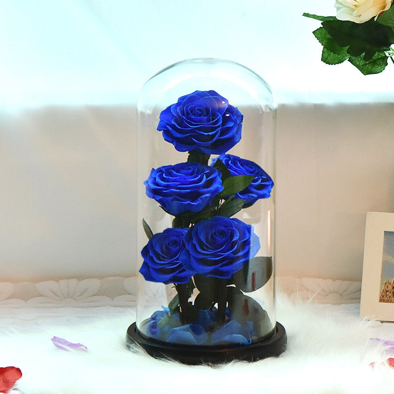 Eternal Preserved Roses In Glass Dome 5 Flower Heads Rose Forever Love Wedding Favor Mothers Day Gifts for Women Girlfriends