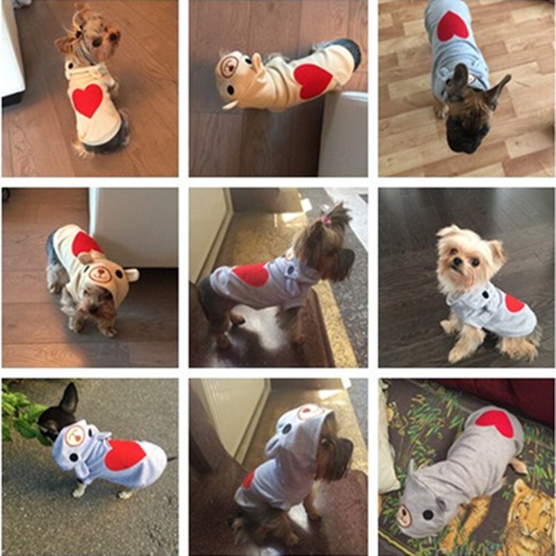 Süße Hundekleidung für kleine Hunde Baumwollkleidung Mantel Hoodies für Chihuahua Haustiere Hunde warme Kleidung Pyjamas Love Bear Kostüm 30S1