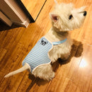 Female Dog Diapers Physiological Pants For Female Dogs Pet Washable Dog Shorts Underwear Pink for Small Medium Pets