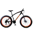 Love Freedom 7/21/24/27 Speed Mountain Bike 26 * 4.0 Fat Tire Bikes Shock Absorbers Bicycle Free Delivery Snow Bike