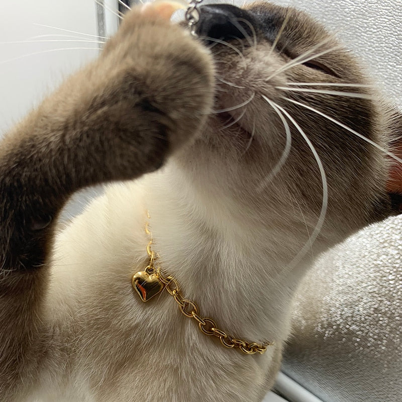 Charm Halskette 6mm Gold Farbe Herz Halsband Kette für Haustier Hund Katze Schmuck Edelstahl Halskette Urlaub Dekoration