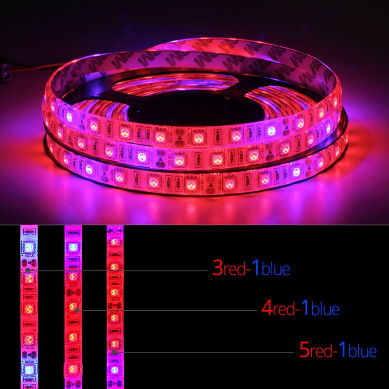 5M LED Phyto Lamps Full Spectrum LED Grow Light 300 LEDs 5050 Strip LED Fitolampy Grow Lights para invernadero planta hidropónica