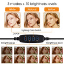 Dimmable Ring Light Selfie LED Round Lamps USB With Phone Holder 1.6M Tripod Stand For Tiktok Video Light Makeup Photography Set